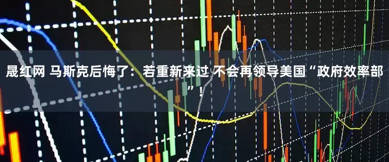 晟红网 马斯克后悔了：若重新来过 不会再领导美国“政府效率部”！
